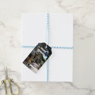 Australian Wallaby Road, Gift Tags