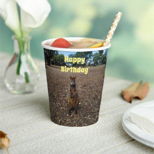 Australian Wallaby Stick Eater, Paper Cups