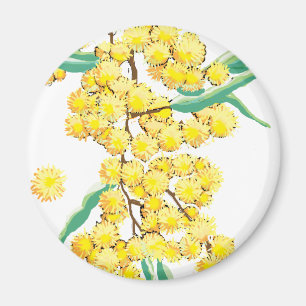 Australian wattle magnet