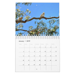 AUSTRALIAN WILDLIFE CALENDAR