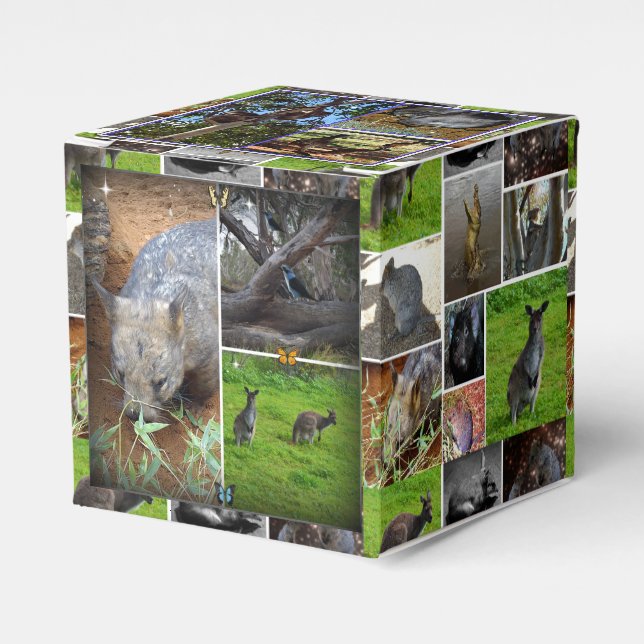 Australian Wildlife Collection, Favor Box (Front Side)