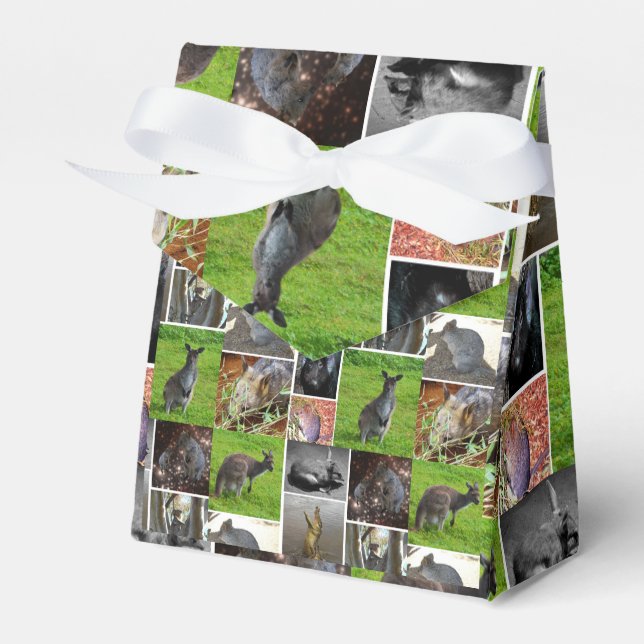 Australian Wildlife Picture Collage, Favor Box (Front Side)