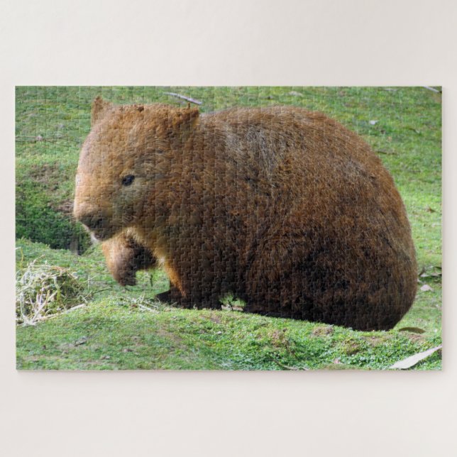 australian wombat jigsaw puzzle (Horizontal)