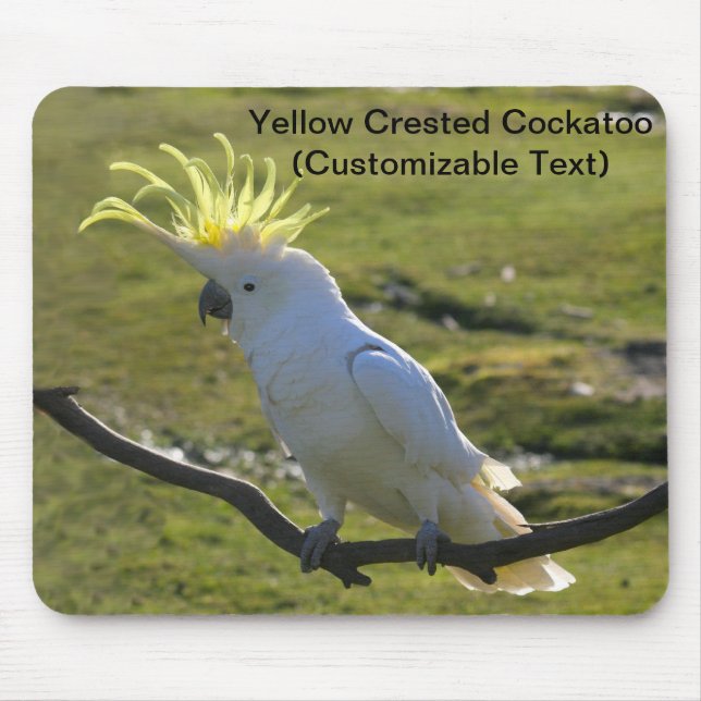 Australian Yellow Sulphur Crested Cockatoo Mouse Pad (Front)
