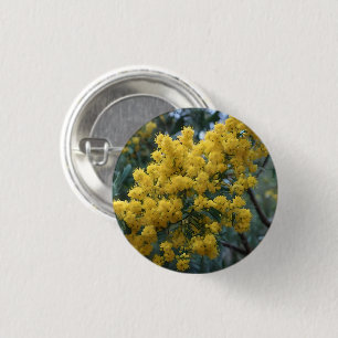 Australian Yellow Wattle Tree, 1 Inch Round Button