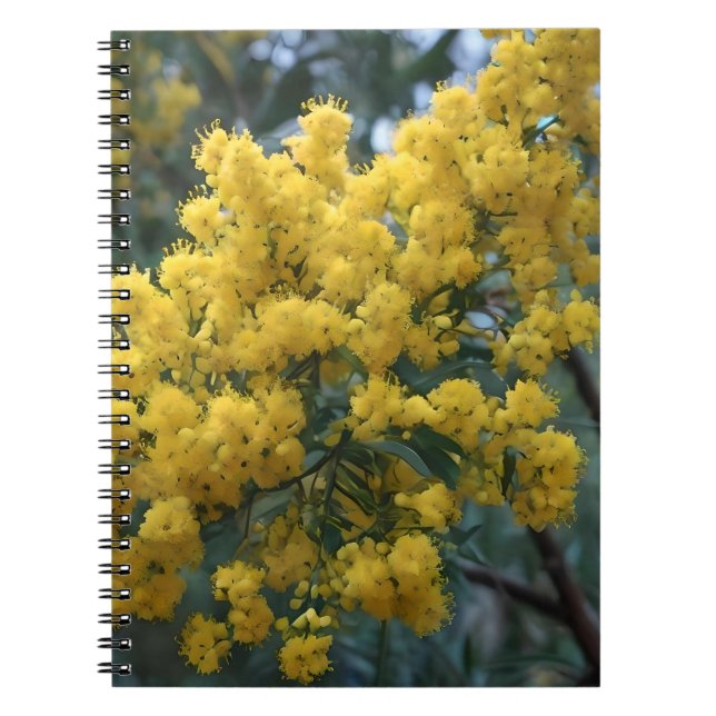 Australian Yellow Wattle Tree,  Notebook (Front)