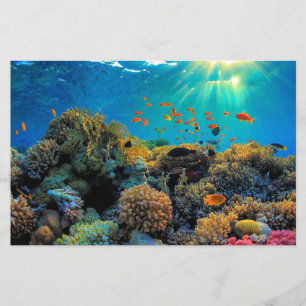 Australie Grande barrière de corail feuille stylis