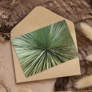 Australien Plant - abstract Card