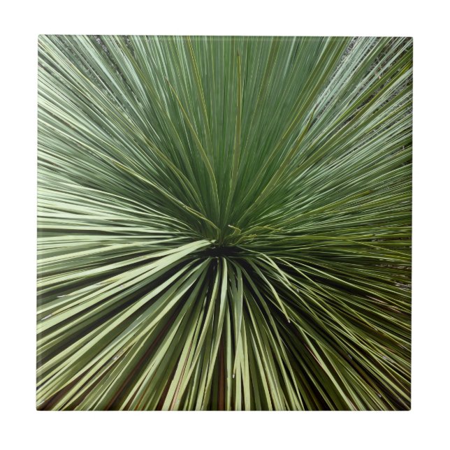 Australien Plant - abstract Tile (Front)