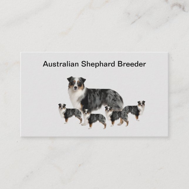 Australien Shephard Carte de visite éleveur de chi (Devant)