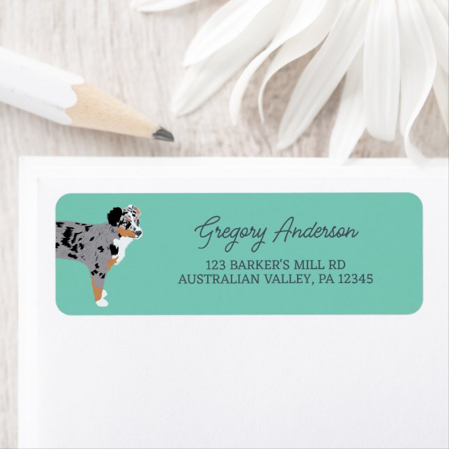 Australisan Shepherd Dog Aussie Adresse de retour (En situation)
