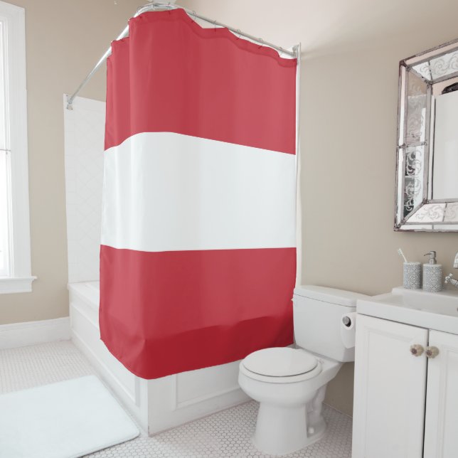 Austria flag (In Situ)
