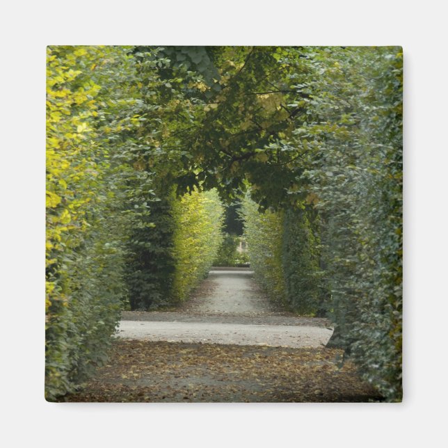 Austria, Vienna. Maria Theresa's baroque 2 Magnet (Front)