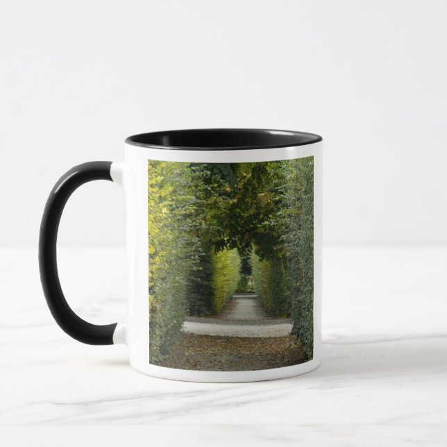 Austria, Vienna. Maria Theresa's baroque 2 Mug (Left)