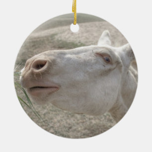 Austrian-Hungarian White Donkey Ceramic Ornament
