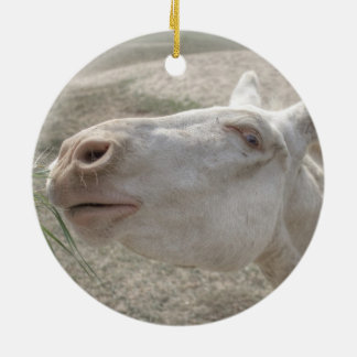 Austrian-Hungarian White Donkey Ceramic Ornament