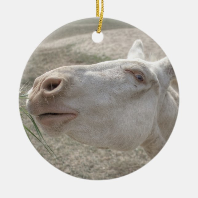 Austrian-Hungarian White Donkey Ceramic Ornament (Front)