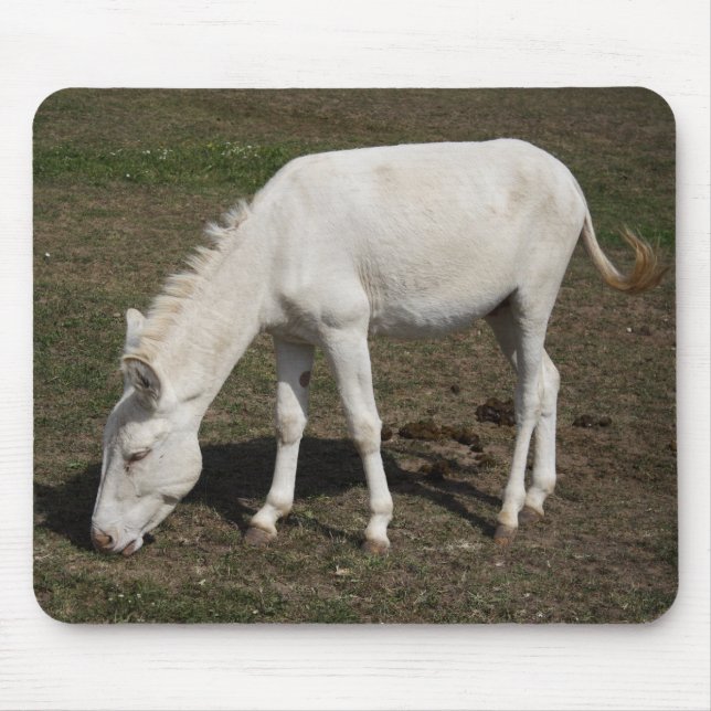 Austrian-Hungarian White Donkey Mouse Pad (Front)