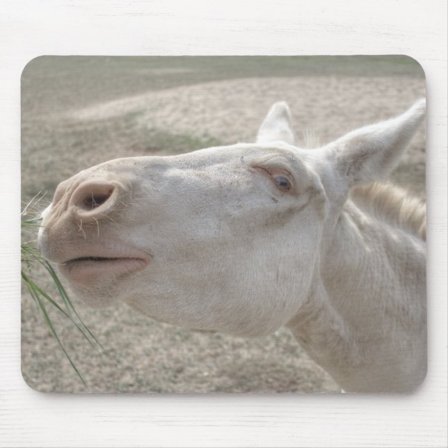 Austrian-Hungarian White Donkey Mouse Pad (Front)
