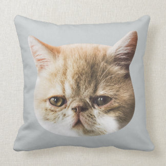 Authentic Chippy Throw Cushion