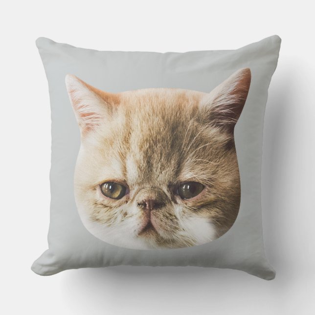 Authentic Chippy Throw Cushion (Front)