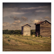 Authentic old time pair of tobacco barns.