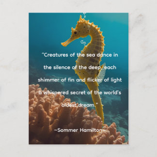 Author Collection by Author Sommer Hamilton Postcard