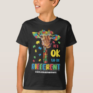 Autism Awareness Acceptance Women Kid Its Ok To Be T-Shirt