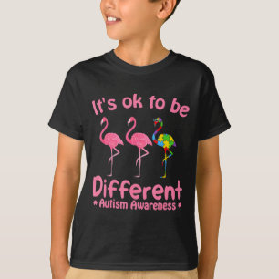 Autism Awareness Its Ok To Be Different Flamigo Wo T-Shirt