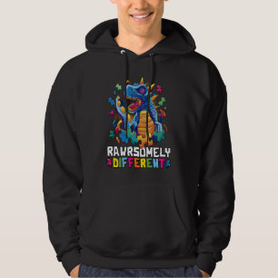 Autism Awareness Toddler  Embrace Differences Dino Hoodie