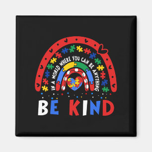 Autism Awareness Why Fit In Teacher Boy Girls Auti Magnet