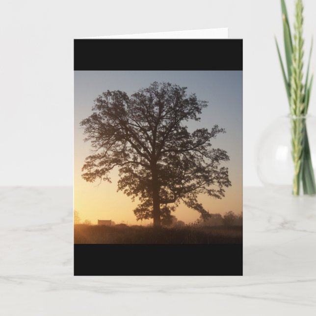 Autmn Tree At Dawn Card (Front)