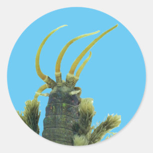 Autocollant 1 de ver