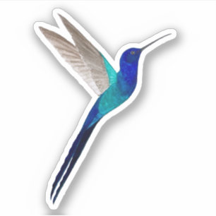 Autocollant à colibri à queue avale