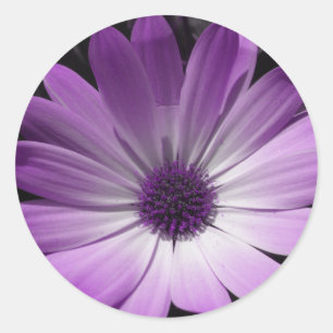 Autocollant à fleurs pourpre