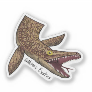 Autocollant Ackie monitor-Mosasaurus
