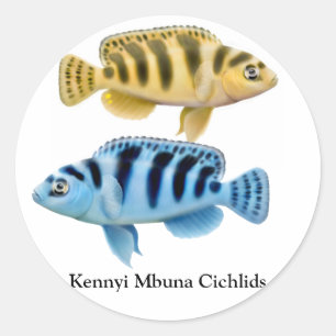 Autocollant africain de Cichlids de lac rift de