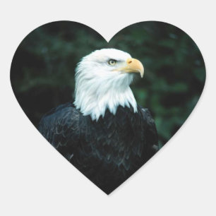 Autocollant américain de coeur d'Eagle chauve