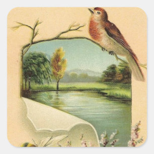 Autocollant animal vintage Bird fun