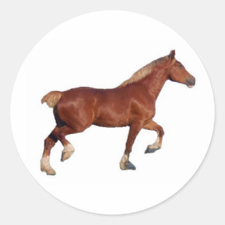Autocollant belge à cheval