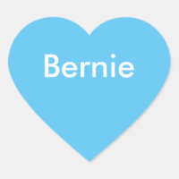 Autocollant Bernie Bumper