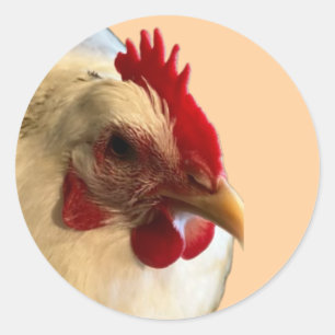 Autocollant blanc Australorp Hen