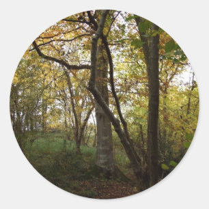 Autocollant Bois Automne