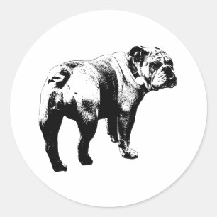 Autocollant Bulldog, Coupe Propre