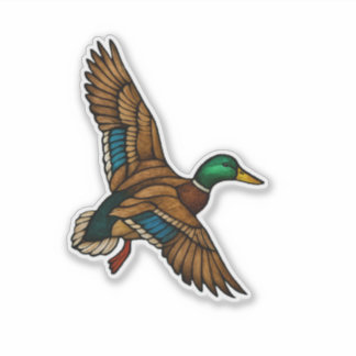 Autocollant Canard Colvert