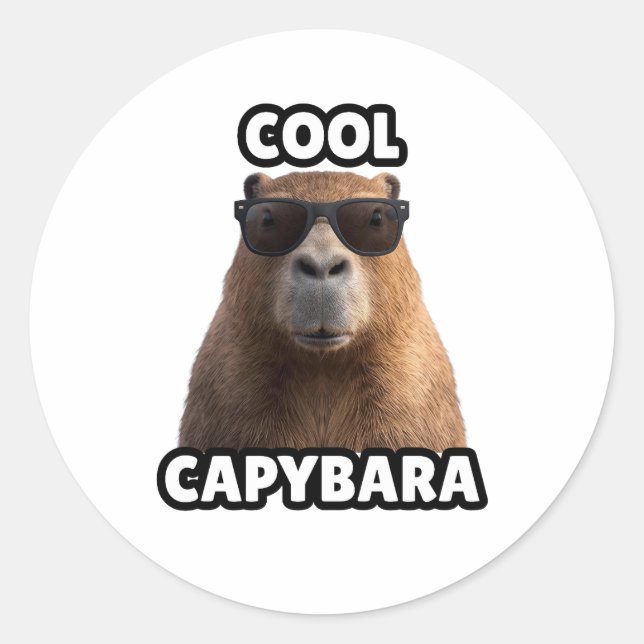 Autocollant capybara cool (Devant)