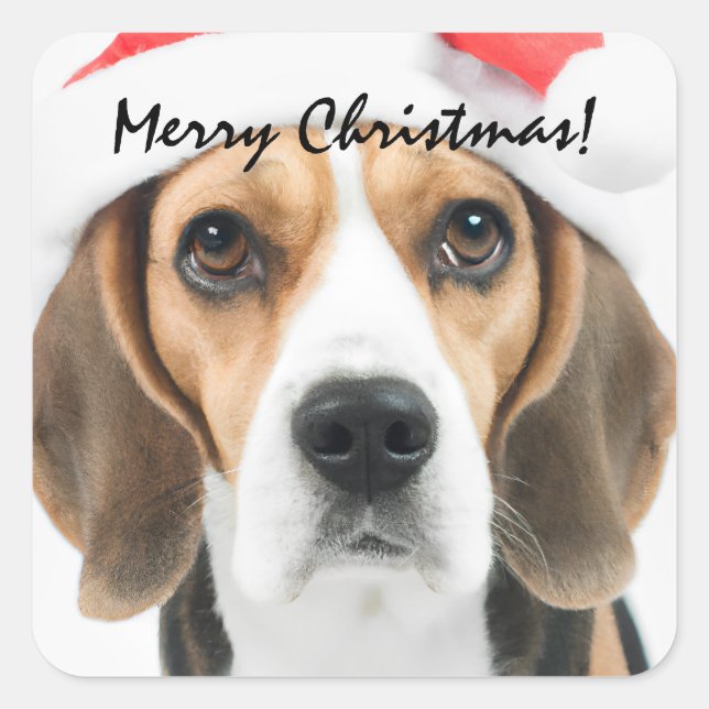 Autocollant Carré de Noël beagle (Devant)