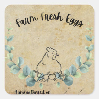 Autocollant carré des oeufs frais de ferme
