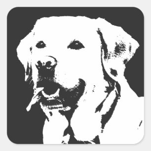 Autocollant Carré Labrador Retriever