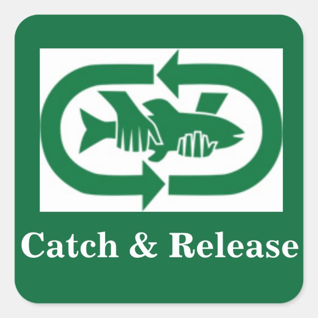 Autocollant "Catch & Release" (Devant)